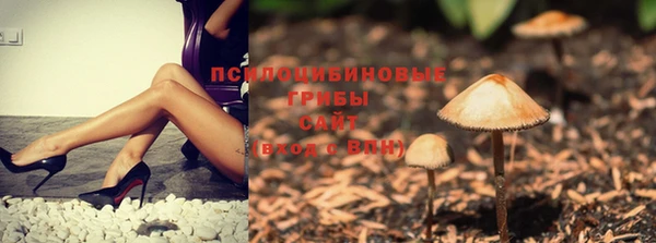 сатива Куровское
