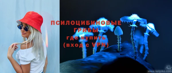 мяу мяу мука Чекалин