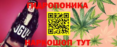 прущие грибы Конаково