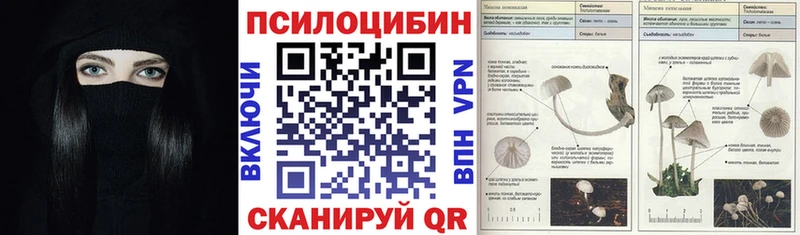 где купить наркоту  Обь  omg вход  Галлюциногенные грибы мицелий 