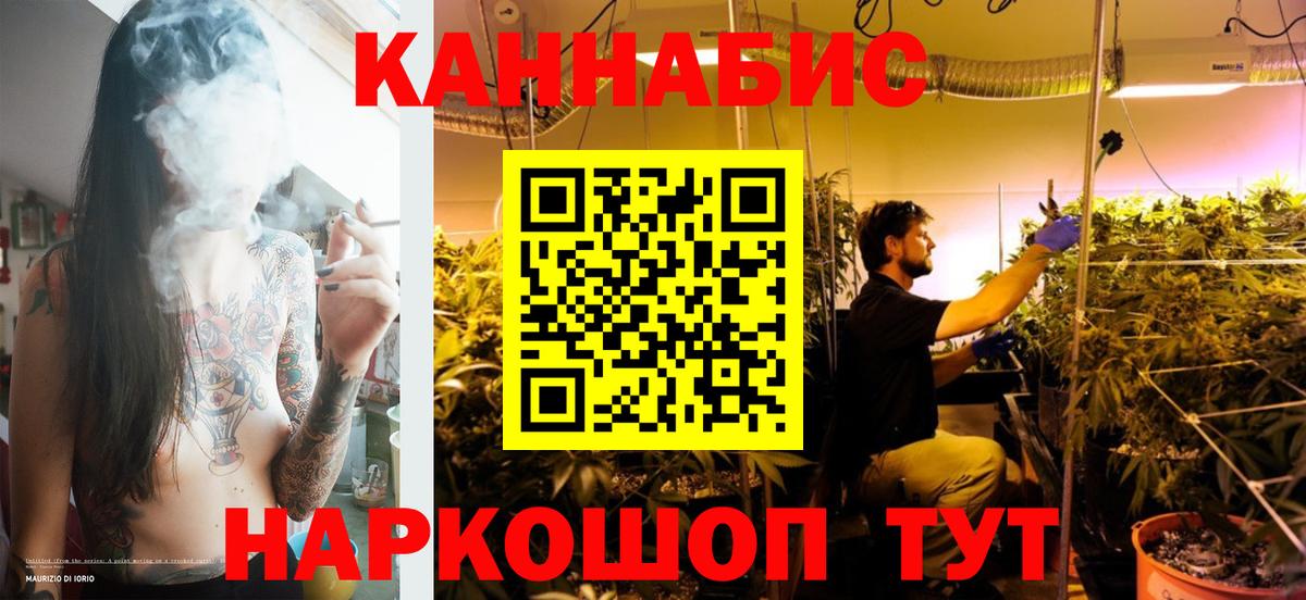Марихуана SATIVA & INDICA Обь